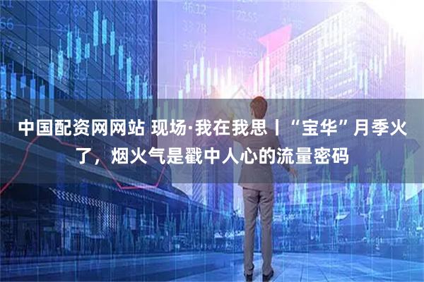 中国配资网网站 现场·我在我思丨“宝华”月季火了，烟火气是戳中人心的流量密码