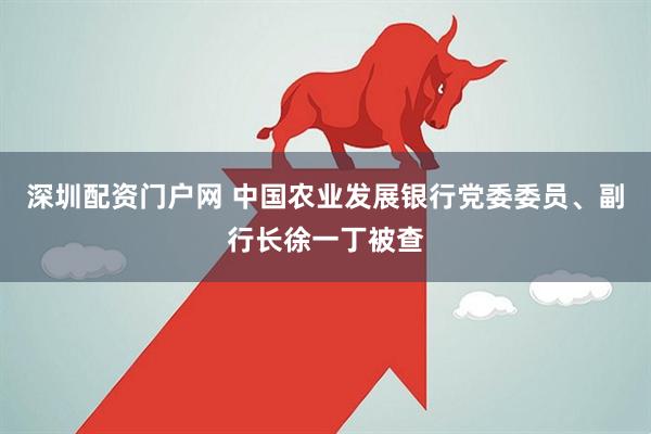 深圳配资门户网 中国农业发展银行党委委员、副行长徐一丁被查
