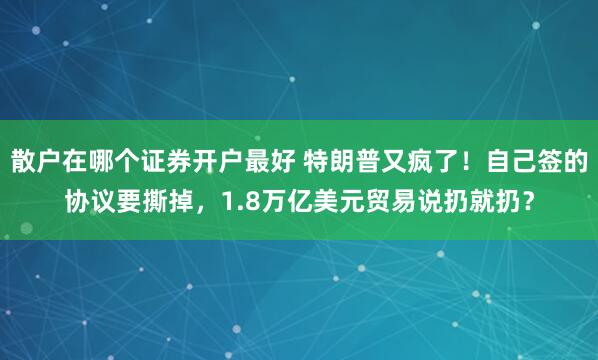 散户在哪个证券开户最好 特朗普又疯了！自己签的协议要撕掉，1.8万亿美元贸易说扔就扔？