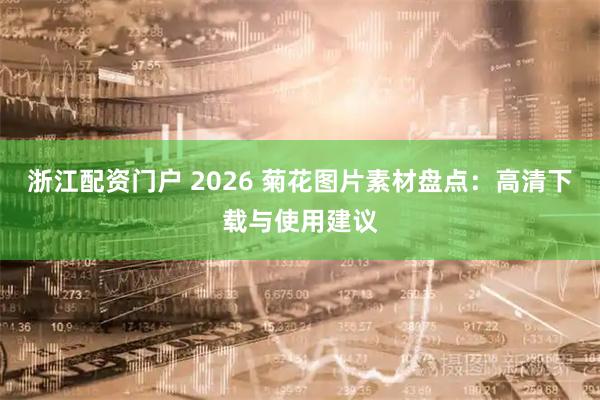 浙江配资门户 2026 菊花图片素材盘点：高清下载与使用建议