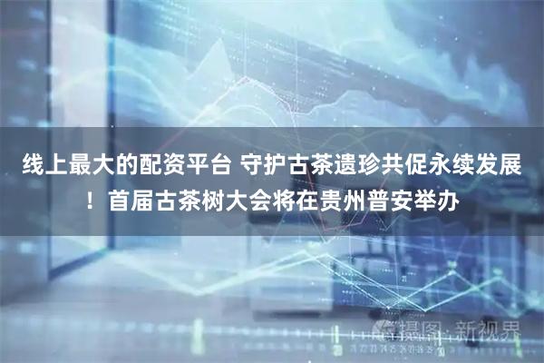 线上最大的配资平台 守护古茶遗珍共促永续发展！首届古茶树大会将在贵州普安举办
