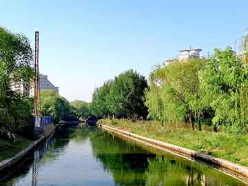 爱上海：Crossing through the hustle and bustle of the city, seeking the natural tranquility in Shanghai's backyard garden.